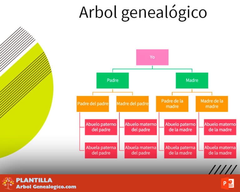 Arbol genealógico PowerPoint 6