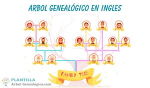 Árbol genealógico en ingles