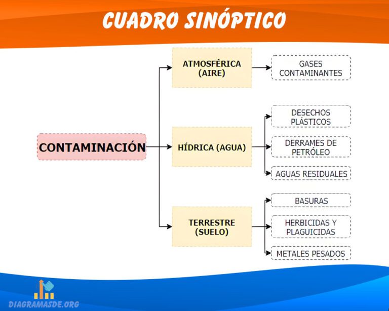 Cuadro Sinóptico