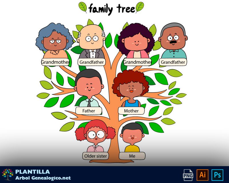 Árbol genealógico en Ingles ➡️ Vocabulario la Familia
