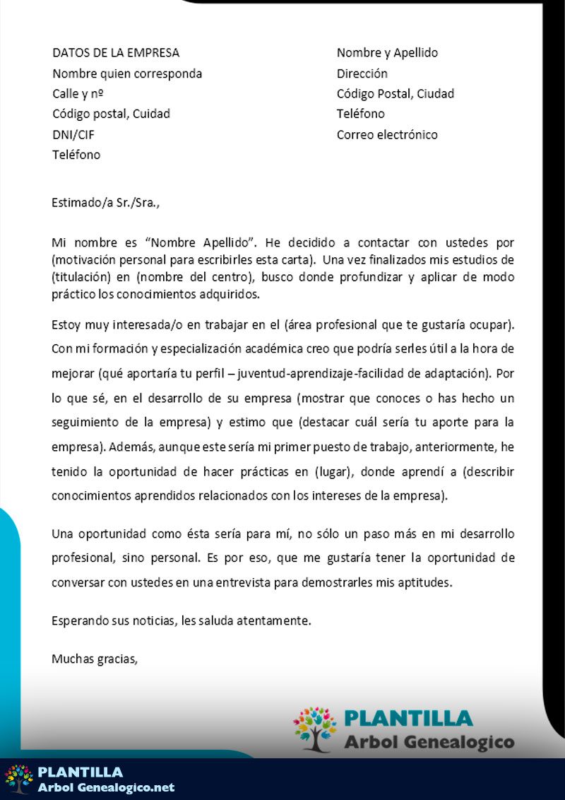 Carta De Recomendación Personal Y Laboral ️ Ejemplos 2024