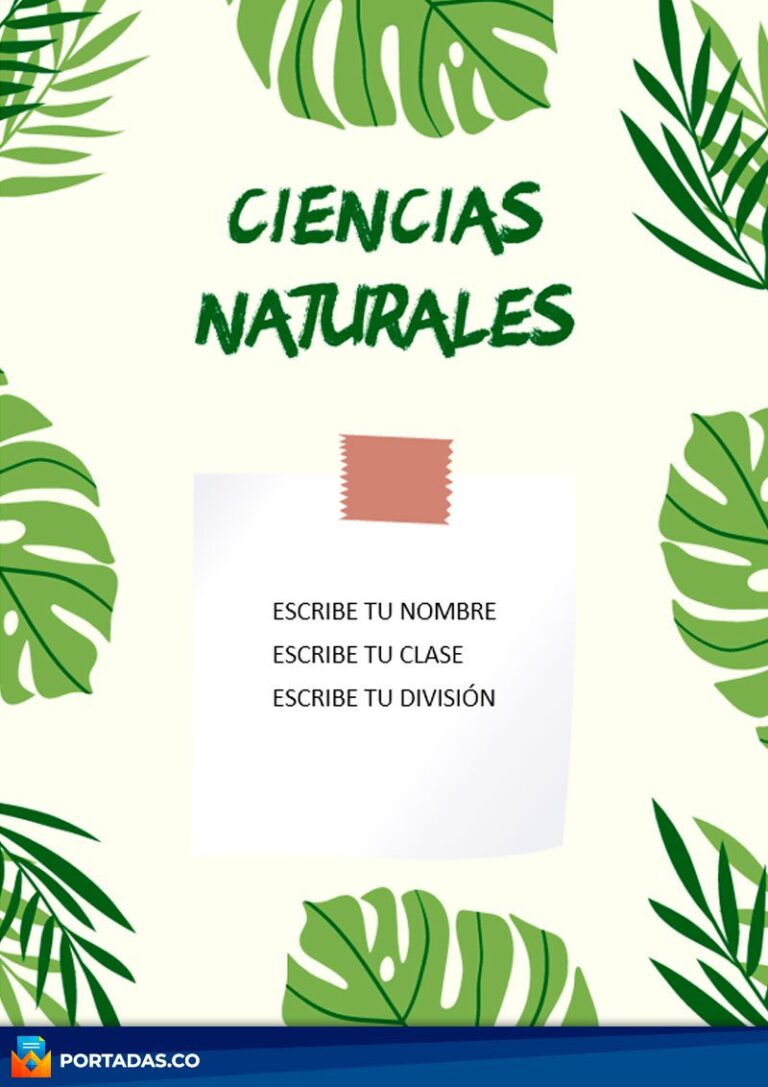 Portadas De Ciencias Naturales Cuadernos Trabajos